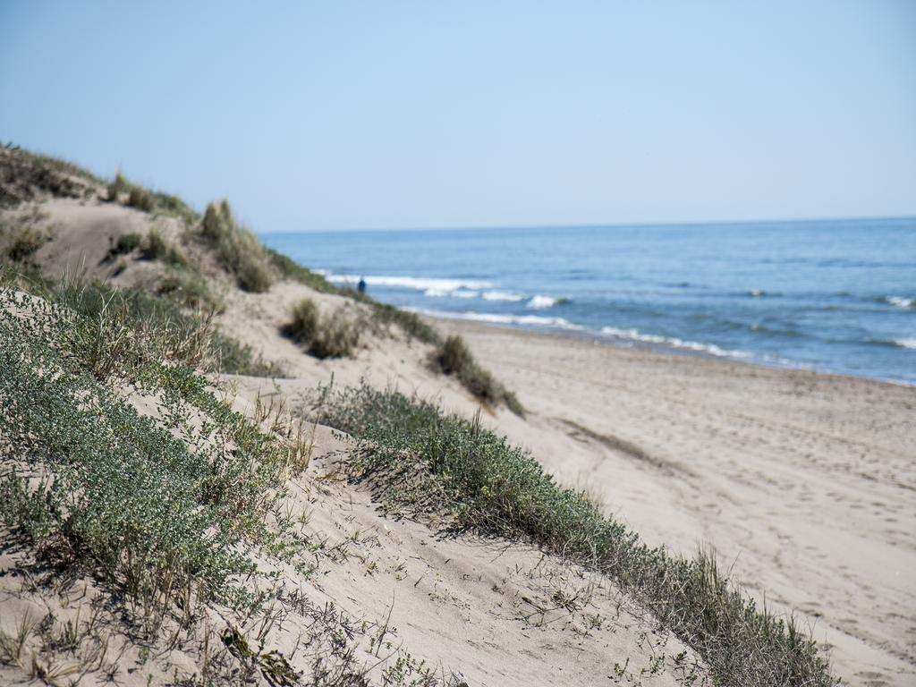 Wood House Close Beach Marbella Kültér fotó