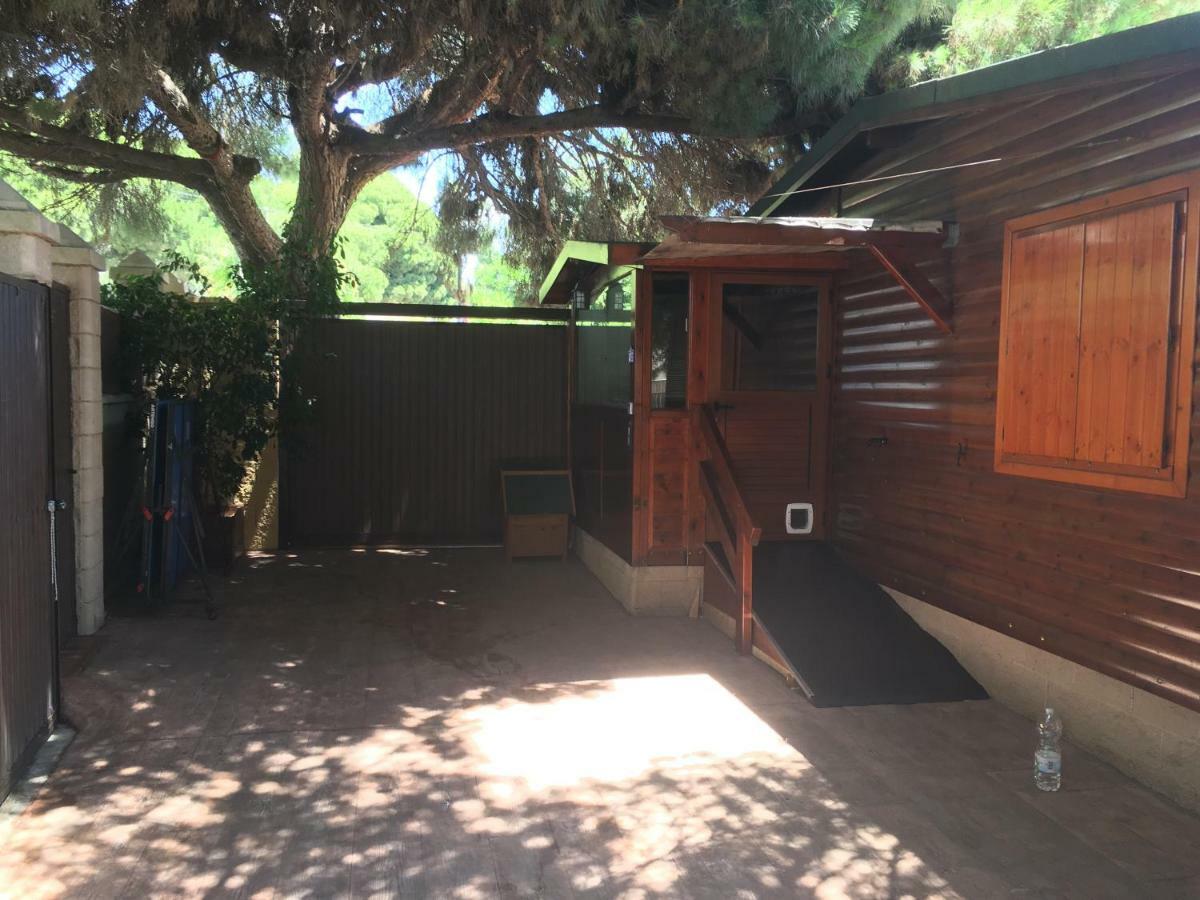 Wood House Close Beach Marbella Kültér fotó